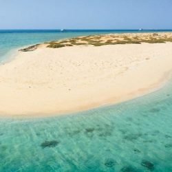 0113638bad1c445786c6d4b74 r0abbuppoiwozx13wablp4xhw4wd96f55o60jwj6b0