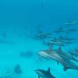 452052018 980139500257953 9049879544236145267 n r0aabnxek5da0dlh7n6op9omk39mwor66jz1ee6tv0