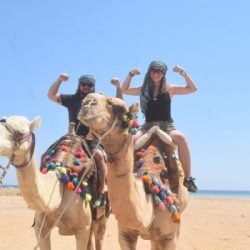 453405338 987532032852033 2852801816457588888 n r0acdi4zfmg61mca1k7mkmw6hrbnkpw300w6kwph2k