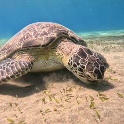 57233bd7a34f34e59f744ebe2 r0ab0htx3lcypjj17vkw2i3zhivp8ubwlgdssjdfho