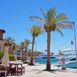 650a4ab16e982a44215c79af7ed6c3c8