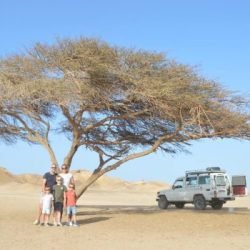 d2fe8ec24f0c2c4a2229ef3a5 r0addqsyxo25odp6f85sphnz0kp4clrinee4oyz164